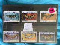 6 Papillions